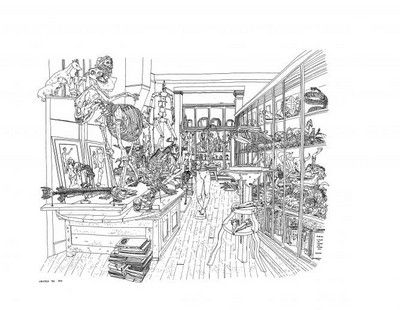 Dessin de la Galerie de morphologie aux Beaux-arts, avec des animaux empaillés et objets d'expositions